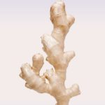picture_ginger_symvital_AR